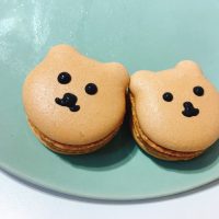 S__78299214 S__78299214